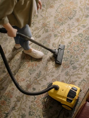 Carpet Cleaning Raleigh, NC